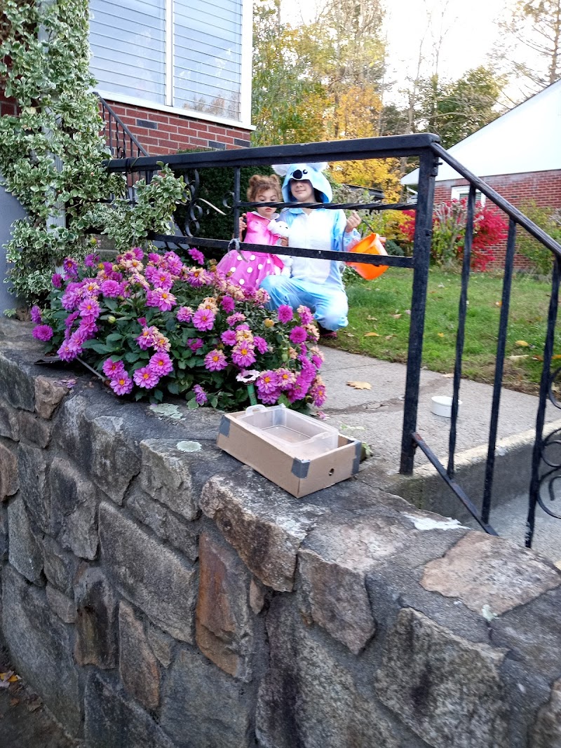 CARLYLE HOUSE nursing home in FRAMINGHAM, MA - Photo 2 of 5