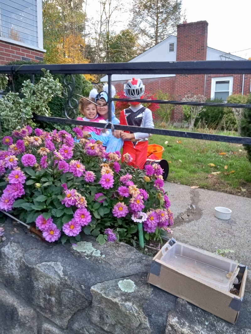 CARLYLE HOUSE nursing home in FRAMINGHAM, MA - Photo 3 of 5