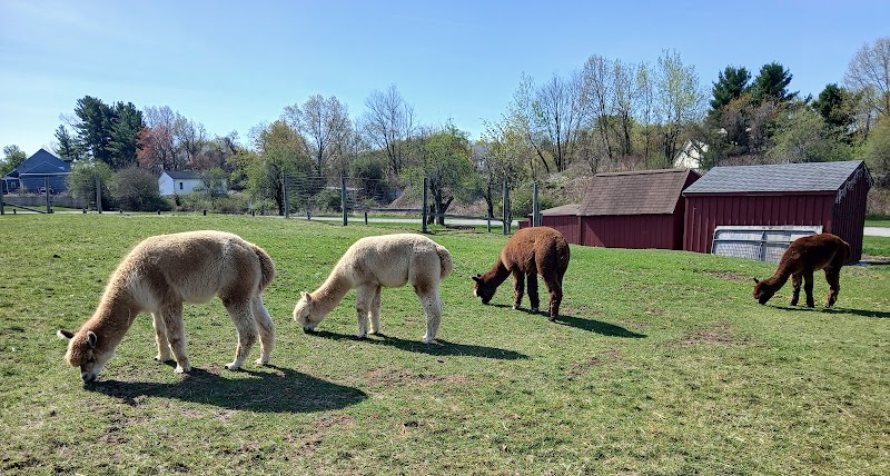 LIFE CARE CENTER OF NASHOBA VALLEY nursing home in LITTLETON, MA - Photo 4 of 10