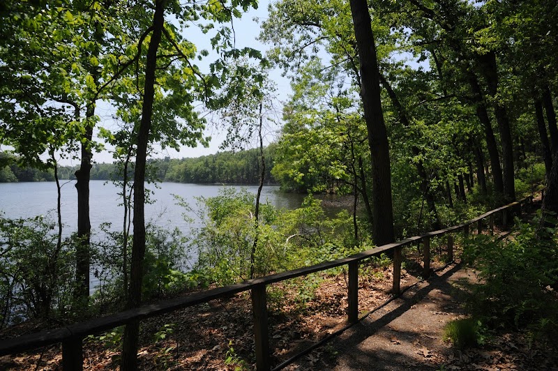 LOOMIS LAKESIDE AT REEDS LANDING nursing home in SPRINGFIELD, MA - Photo 3 of 10