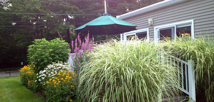 SERENITY HILL NURSING CENTER nursing home in WRENTHAM, MA - Photo 4 of 5