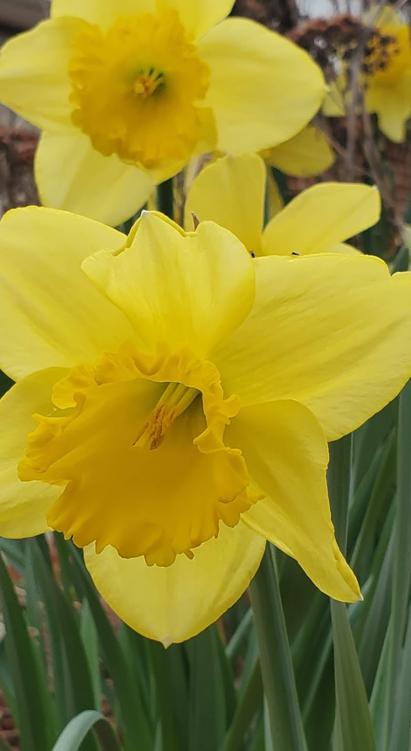 Maple Lawn Medical Care Facility nursing home in Coldwater, MI - Photo 5 of 10