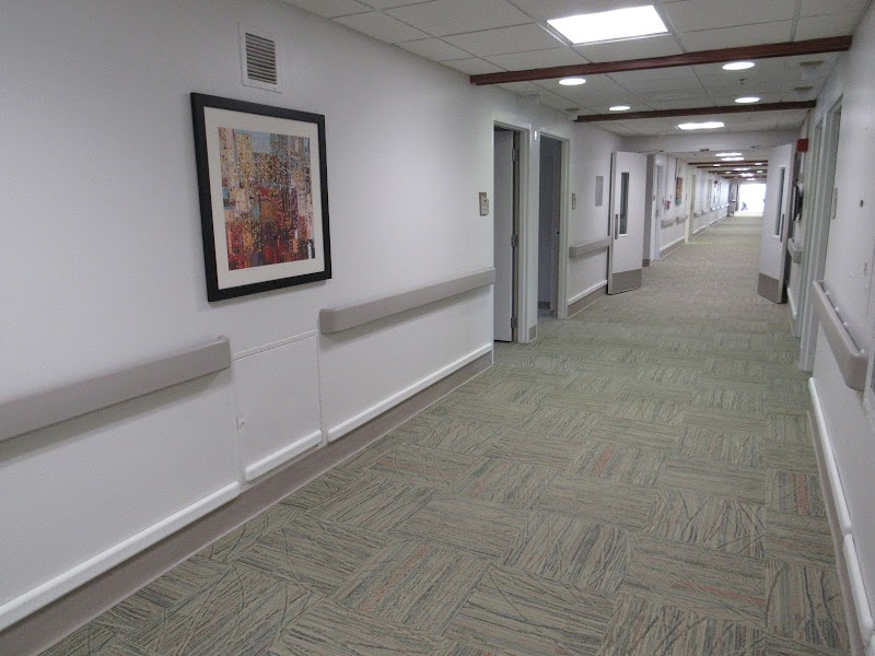 Dimondale Nursing Care Center nursing home in Dimondale, MI - Photo 3 of 5