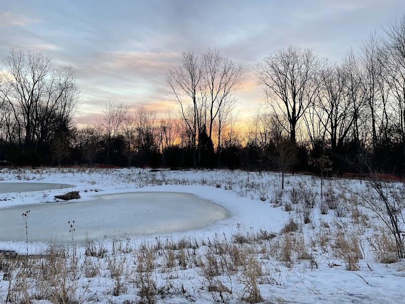 Regency at Canton nursing home in Canton, MI - Photo 3 of 5