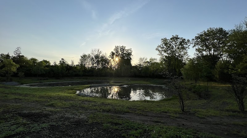 Regency at Canton nursing home in Canton, MI - Photo 4 of 5