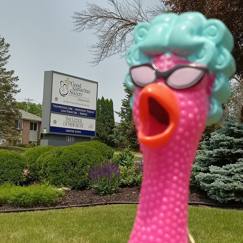 Good Samaritan Ambassador nursing home in NEW HOPE, MN - Photo 5 of 8