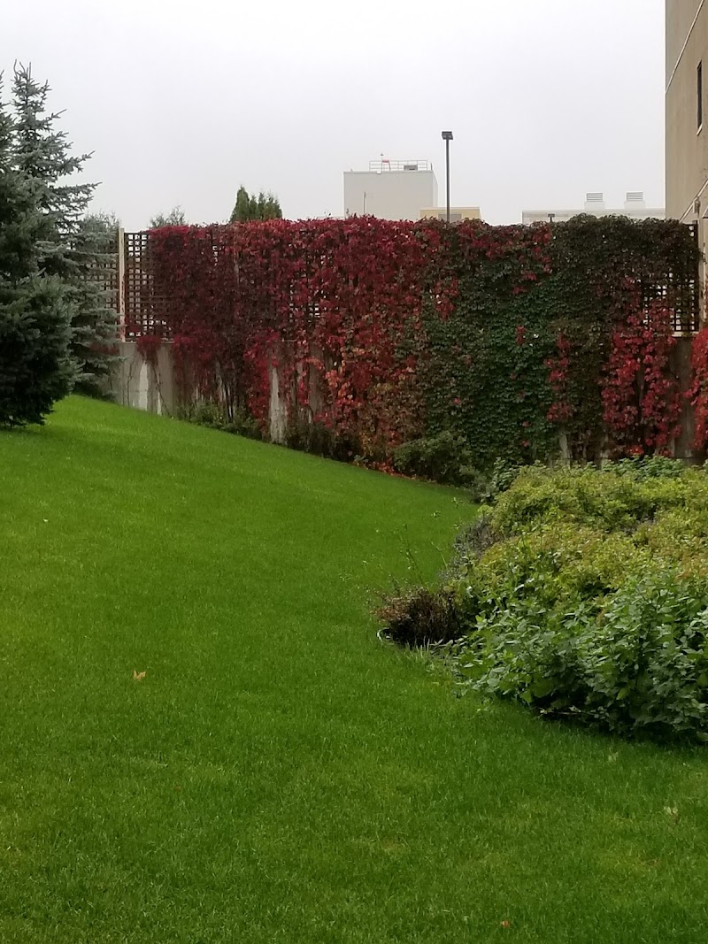 ESSENTIA HEALTH VIRGINIA CARE CENT nursing home in VIRGINIA, MN - Photo 4 of 5