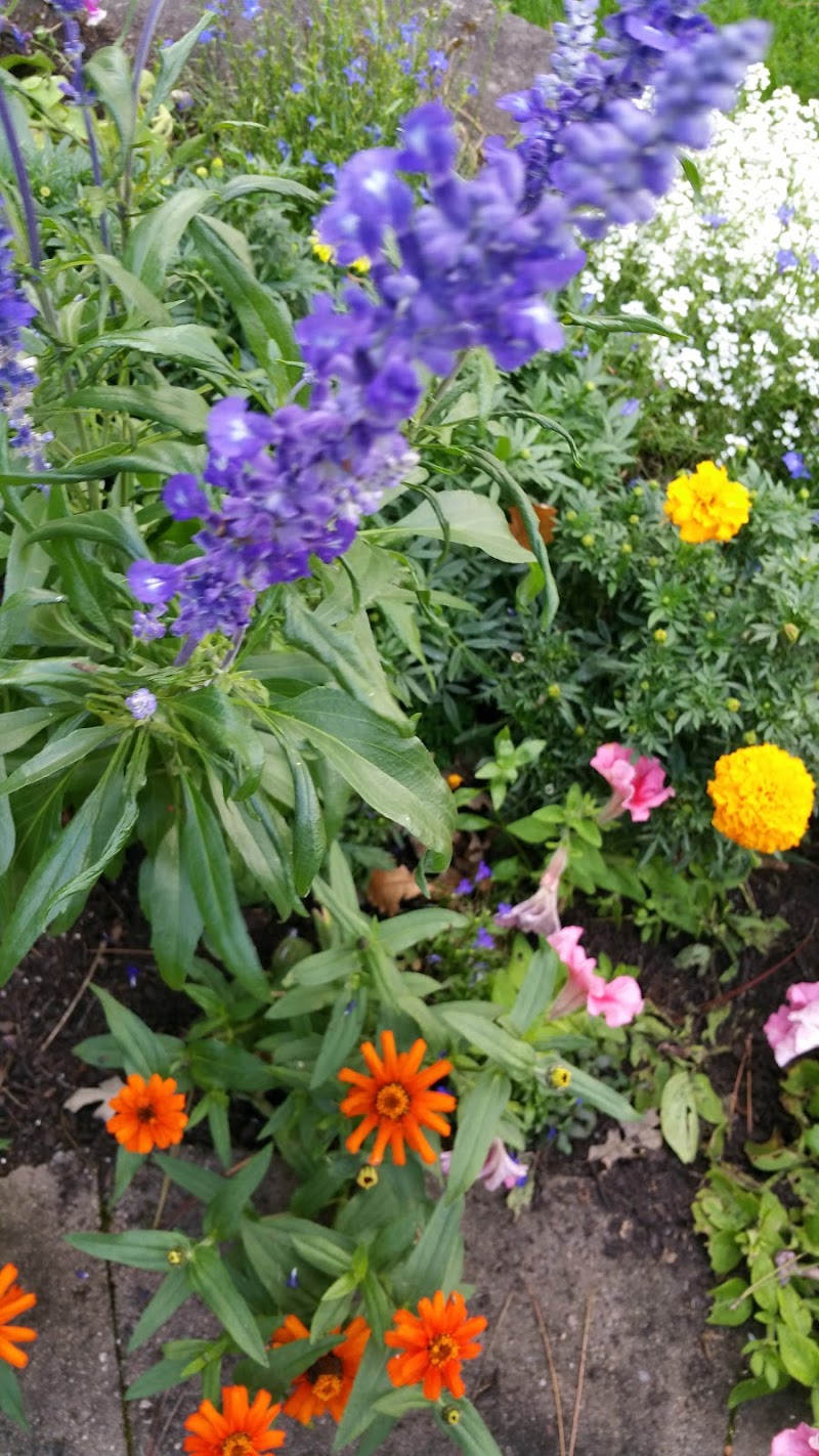 Good Samaritan Society - Pine River nursing home in PINE RIVER, MN - Photo 3 of 9