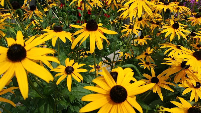 Good Samaritan Society - Pine River nursing home in PINE RIVER, MN - Photo 4 of 9