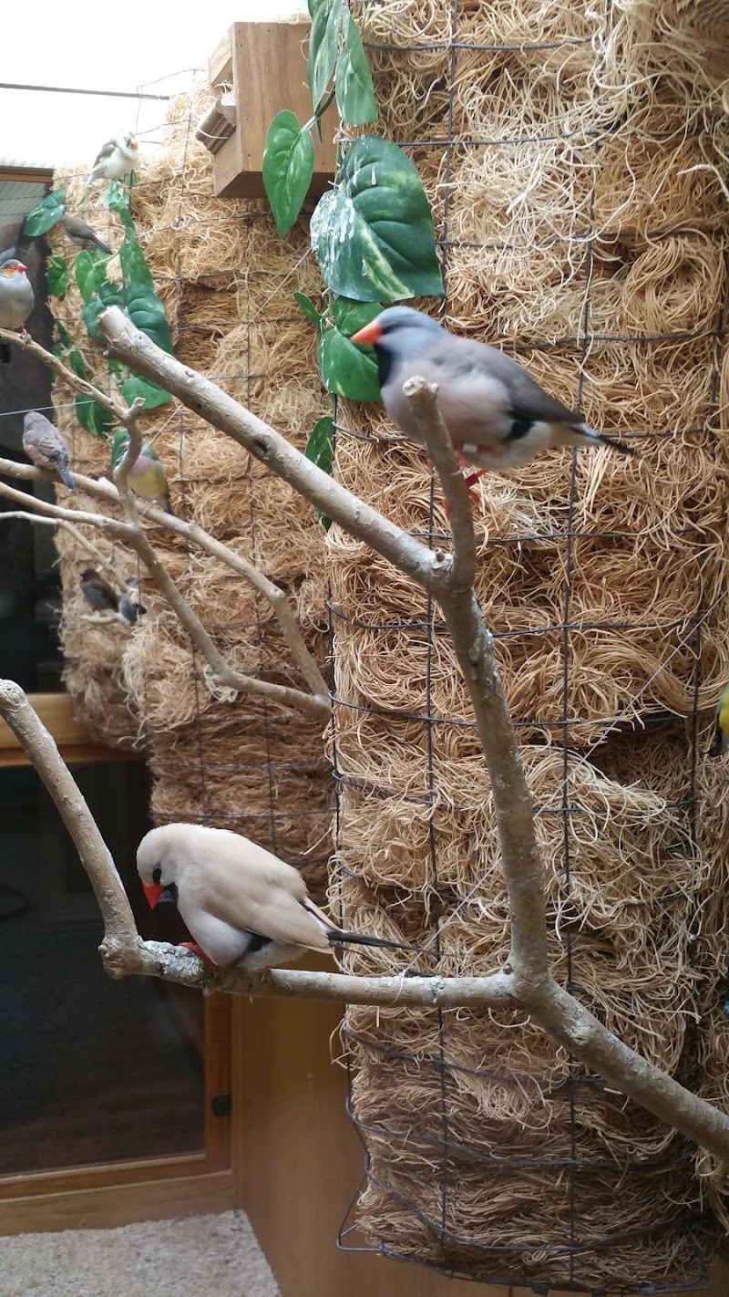 Good Samaritan Society - Pine River nursing home in PINE RIVER, MN - Photo 5 of 9