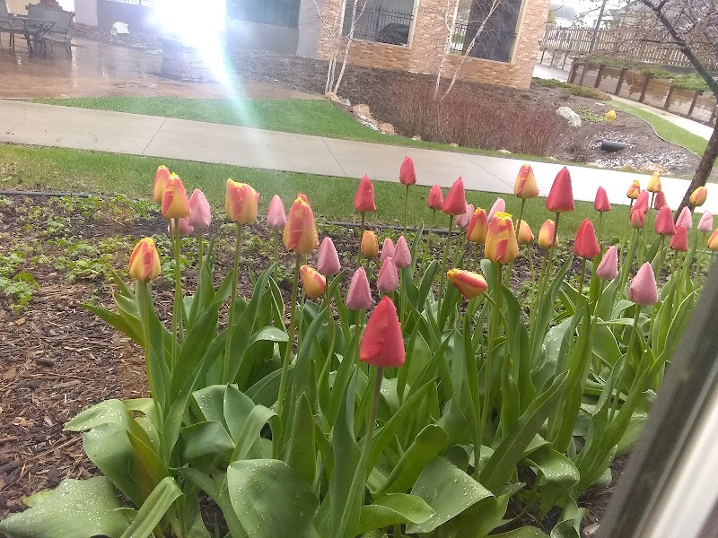 Samaritan Bethany Home On Eighth nursing home in ROCHESTER, MN - Photo 4 of 9