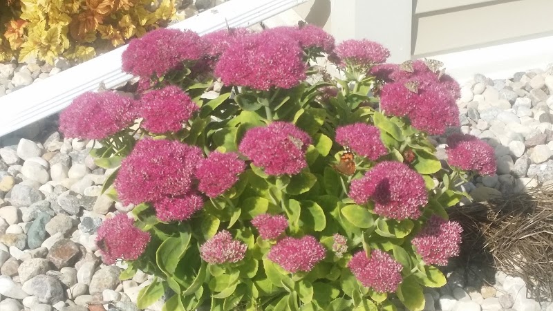 North Star Manor nursing home in WARREN, MN - Photo 2 of 3