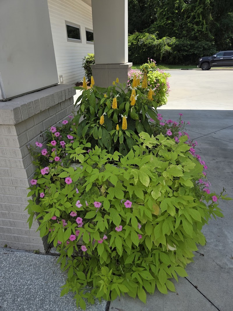 TREND HEALTH & REHAB OF MERIDIAN LLC nursing home in MERIDIAN, MS - Photo 2 of 2