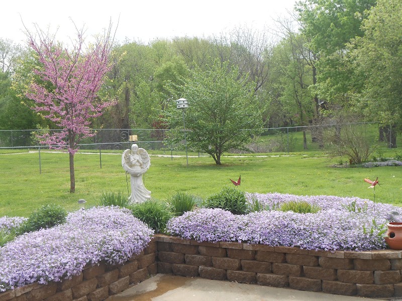 ST PETERS REHAB AND HEALTHCARE CENTER nursing home in SAINT PETERS, MO - Photo 4 of 5