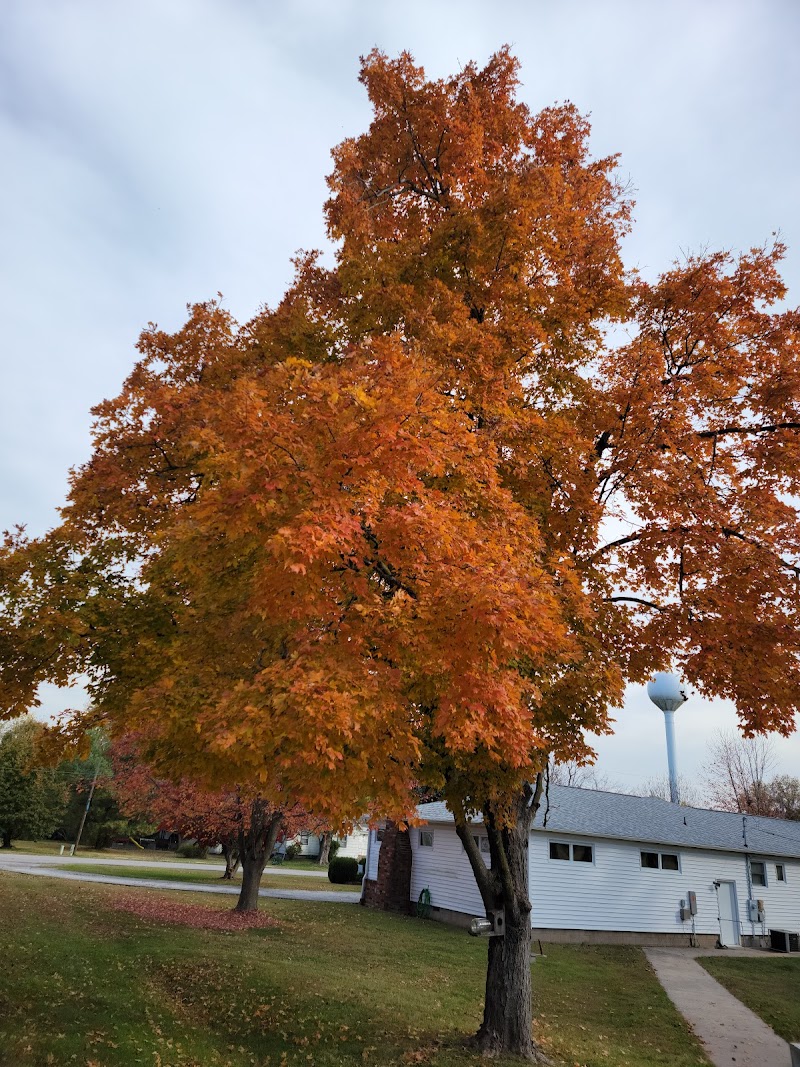OZARKS METHODIST MANOR, THE nursing home in MARIONVILLE, MO - Photo 3 of 5