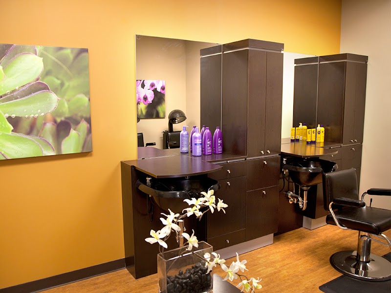 BLUEBIRD WELLNESS AND REHABILITATION nursing home in SAINT LOUIS, MO - Photo 5 of 5