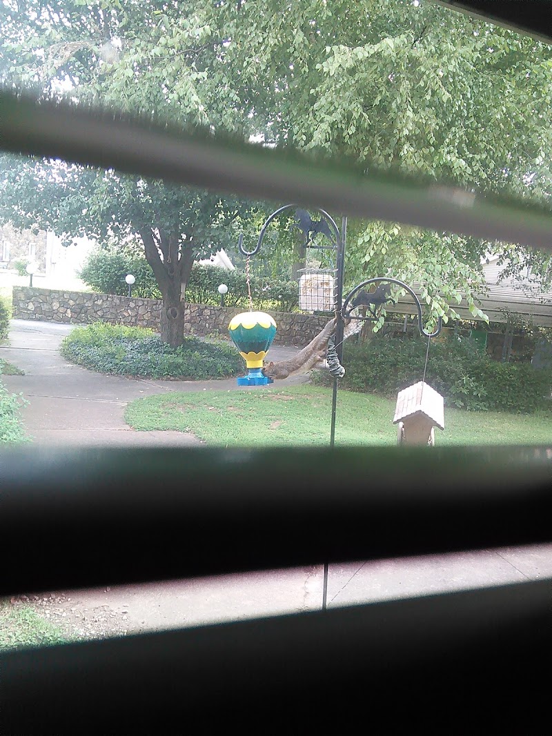 WOODLAND MANOR nursing home in SPRINGFIELD, MO - Photo 5 of 5