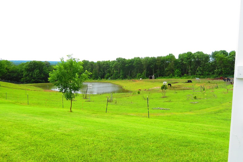 PEARL'S II EDEN FOR ELDERS nursing home in PRINCETON, MO - Photo 4 of 5