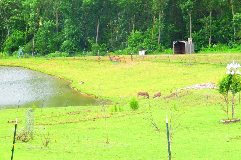 PEARL'S II EDEN FOR ELDERS nursing home in PRINCETON, MO - Photo 5 of 5