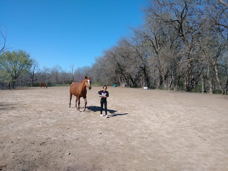 SEASONS REHAB AND HEALTHCARE CENTER nursing home in KANSAS CITY, MO - Photo 3 of 5
