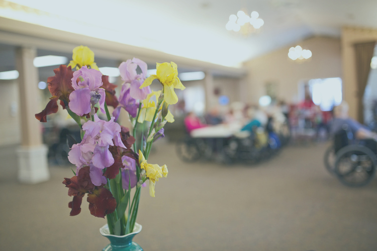 The Palm at Regency Square nursing home in South Sioux City, NE - Photo 4 of 5