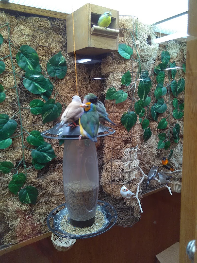 Maple Crest Health Center nursing home in Omaha, NE - Photo 4 of 5