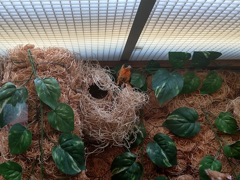 Community Pride Care Center nursing home in Battle Creek, NE - Photo 2 of 10