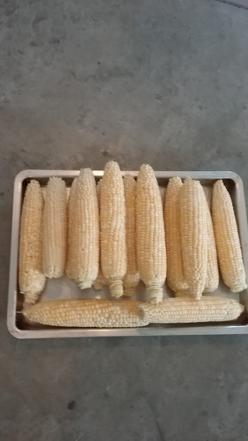 Mitchell Care Center nursing home in Mitchell, NE - Photo 5 of 5