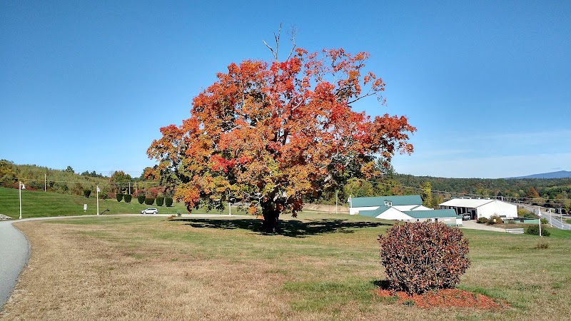 MERRIMACK COUNTY NURSING HOME nursing home in BOSCAWEN, NH - Photo 4 of 6