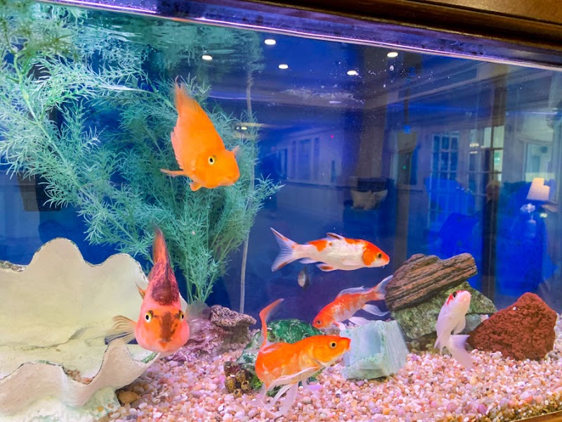 BARNEGAT REHABILITATION AND NURSING CENTER nursing home in BARNEGAT, NJ - Photo 5 of 10