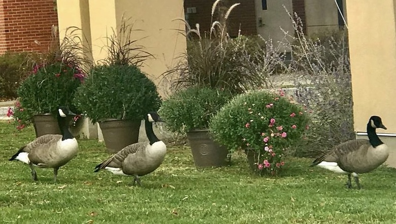 Preakness Healthcare Center nursing home in WAYNE, NJ - Photo 5 of 5