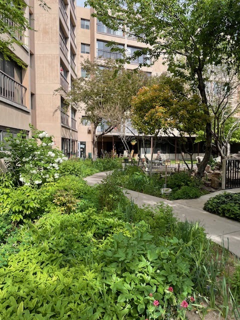 Manzano Del Sol by Purehealth nursing home in ALBUQUERQUE, NM - Photo 2 of 10