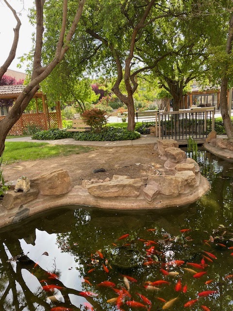 Manzano Del Sol by Purehealth nursing home in ALBUQUERQUE, NM - Photo 3 of 10