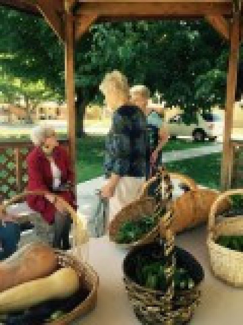 Northgate Unit Of Lakeview Christian Home nursing home in Carlsbad, NM - Photo 4 of 9