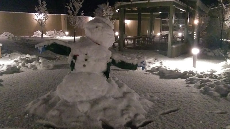 The NM Behavioral Health Institute at Las Vegas nursing home in Las Vegas, NM - Photo 3 of 5