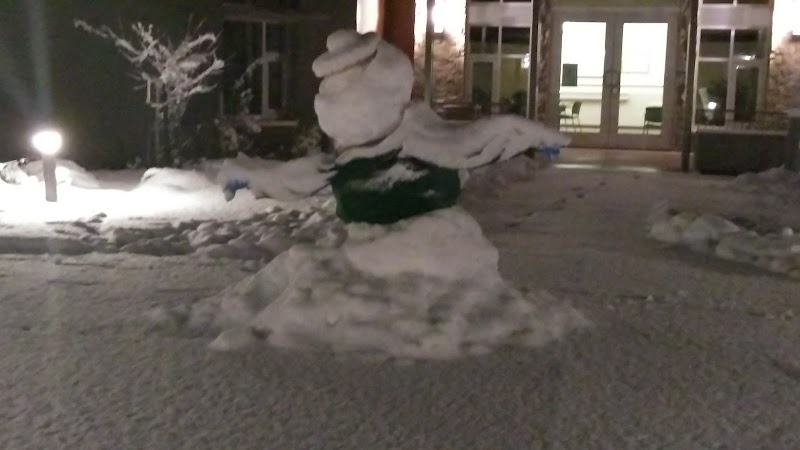 The NM Behavioral Health Institute at Las Vegas nursing home in Las Vegas, NM - Photo 5 of 5