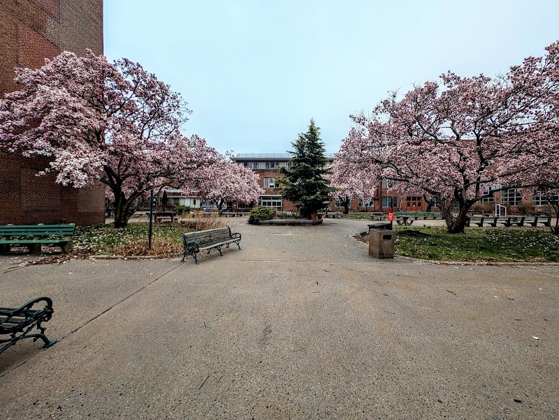 COLER REHABILITATION AND NURSING CARE CENTER nursing home in ROOSEVELT ISLAND, NY - Photo 4 of 10
