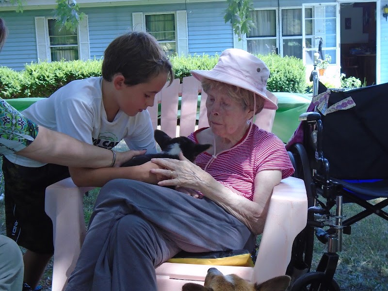 Avon Nursing Home L L C nursing home in Avon, NY - Photo 3 of 6