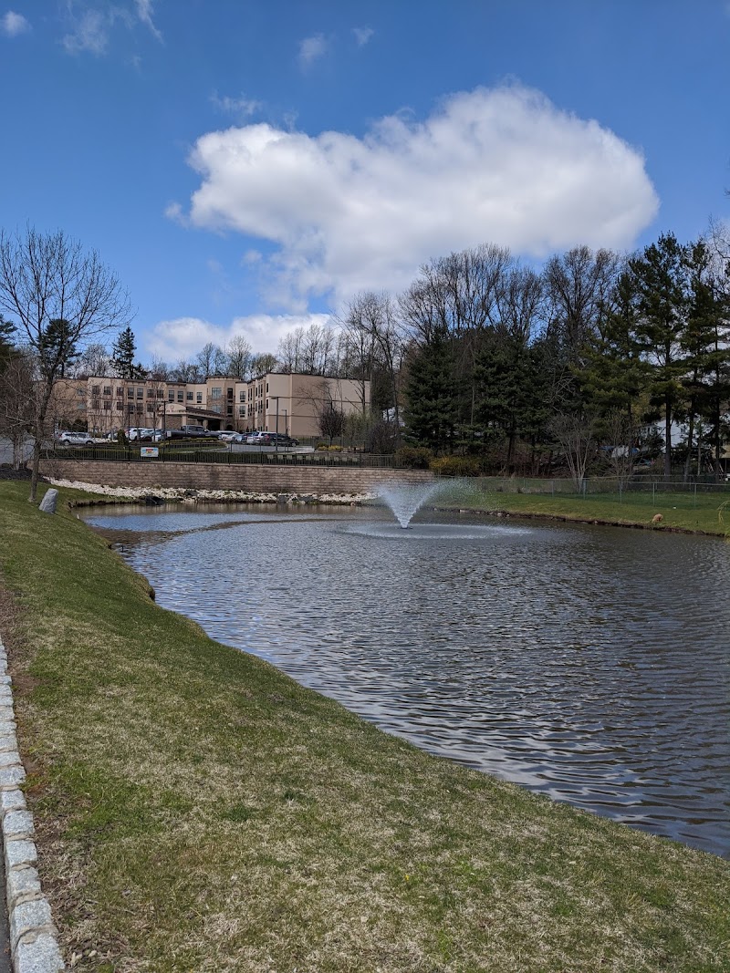 PINE VALLEY CENTER FOR REHABILITATION AND NURSING nursing home in SPRING VALLEY, NY - Photo 4 of 5