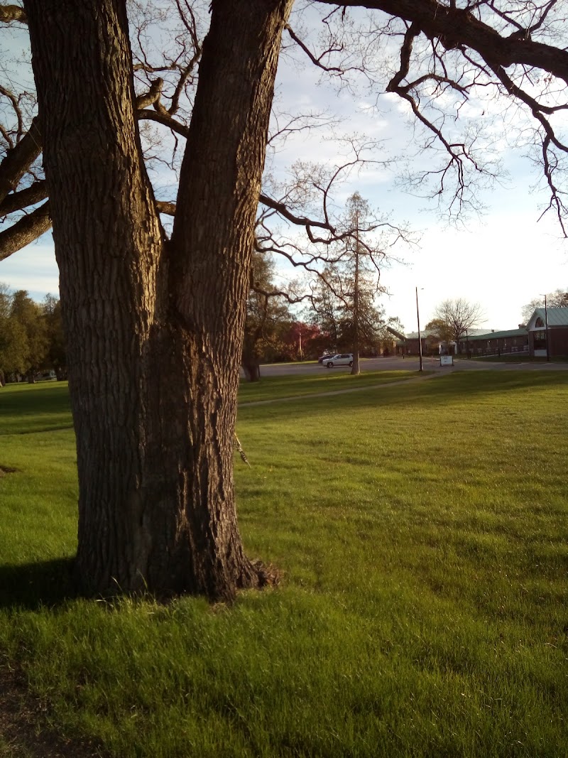 FORT HUDSON NURSING CENTER INC nursing home in FORT EDWARD, NY - Photo 4 of 5