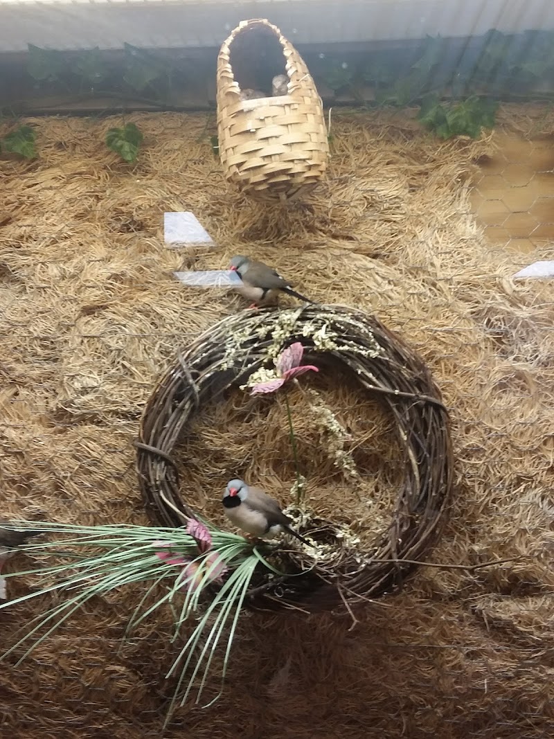 THE PINES HEALTHCARE & REHAB CENTERS OLEAN CAMPUS nursing home in OLEAN, NY - Photo 3 of 10