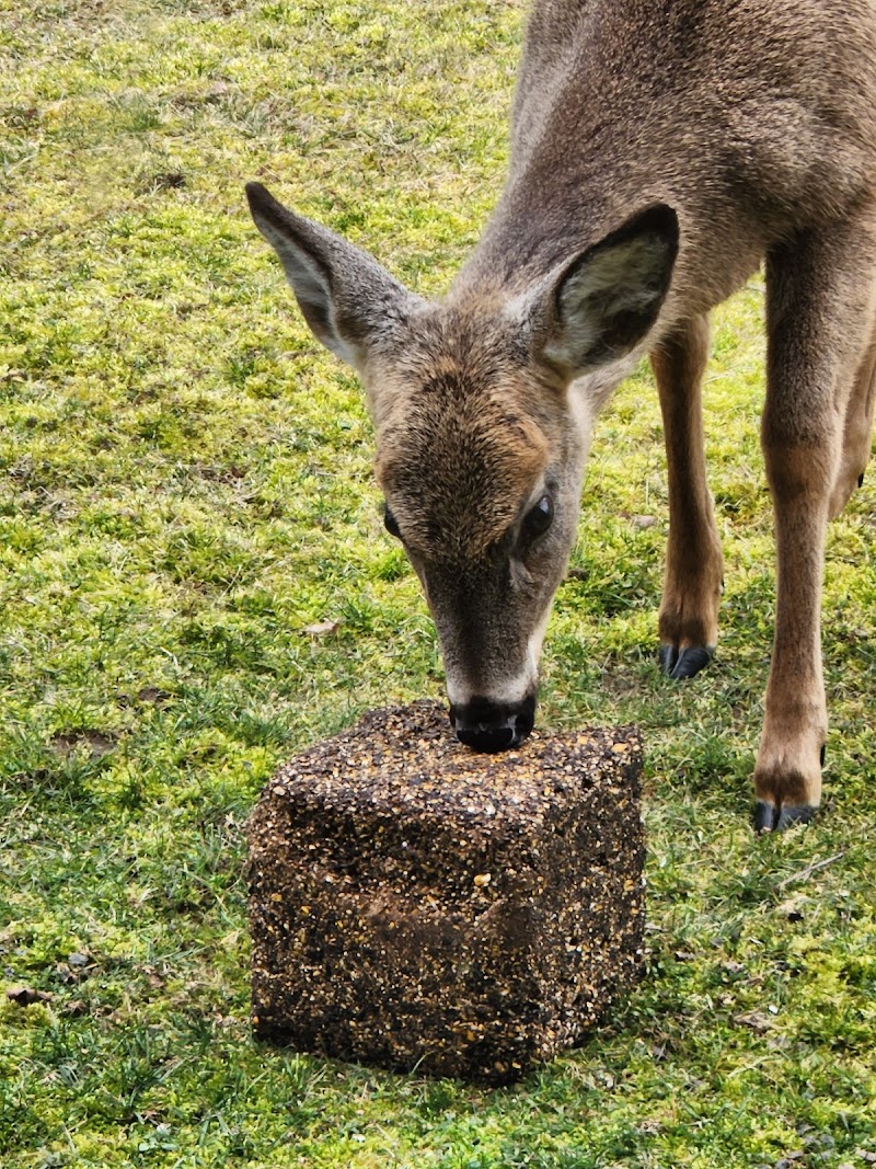 THE PINES HEALTHCARE & REHAB CENTERS OLEAN CAMPUS nursing home in OLEAN, NY - Photo 5 of 10