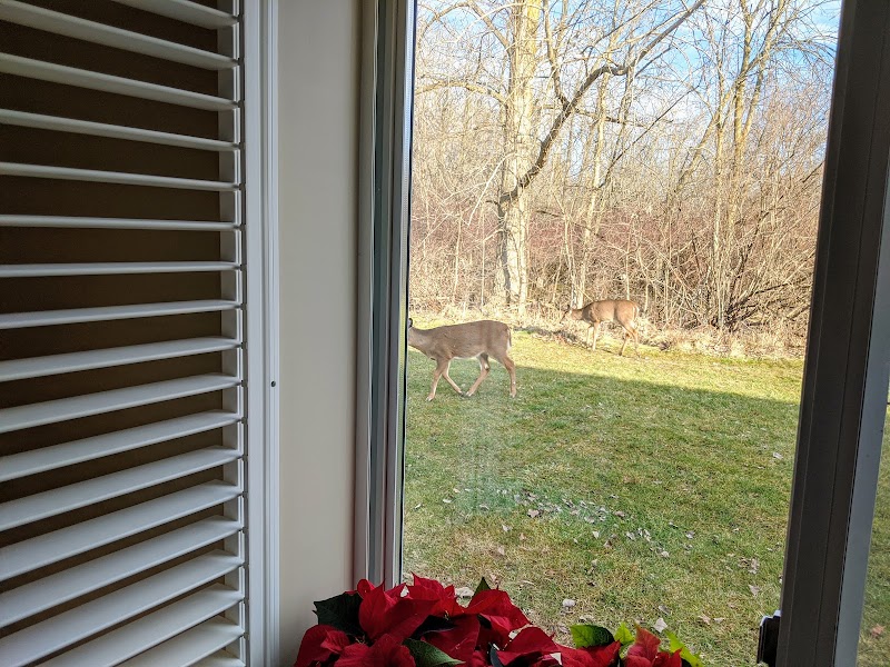 ELDERWOOD AT LANCASTER nursing home in LANCASTER, NY - Photo 3 of 5