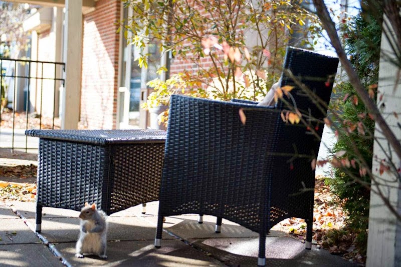 THE GRAND REHABILITATION AND NURSING AT ROME nursing home in ROME, NY - Photo 2 of 5