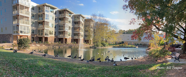 Carolina Village Inc nursing home in Hendersonville, NC - Photo 1 of 10