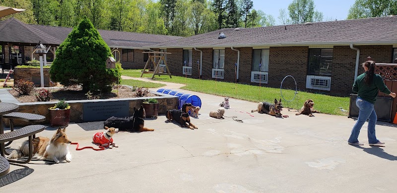 Mountain Vista Health Park nursing home in Denton, NC - Photo 4 of 10