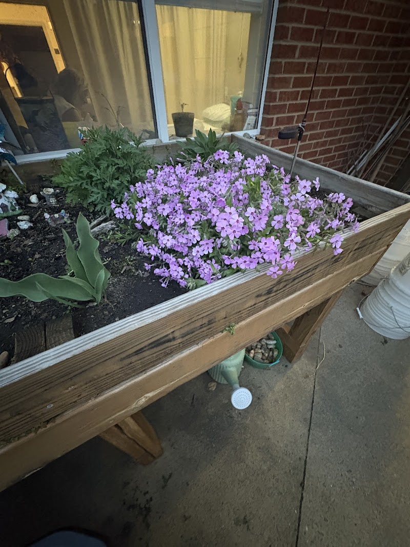 Cardinal Healthcare and Rehabilitation nursing home in Lincolnton, NC - Photo 5 of 7