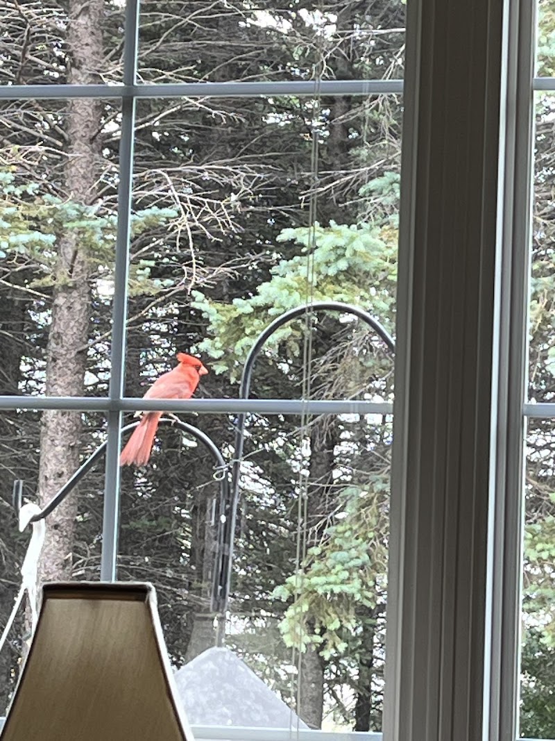 LUTHERAN SUNSET HOME nursing home in GRAFTON, ND - Photo 4 of 5