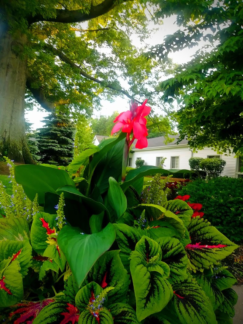 RAE-ANN WESTLAKE nursing home in WESTLAKE, OH - Photo 2 of 10