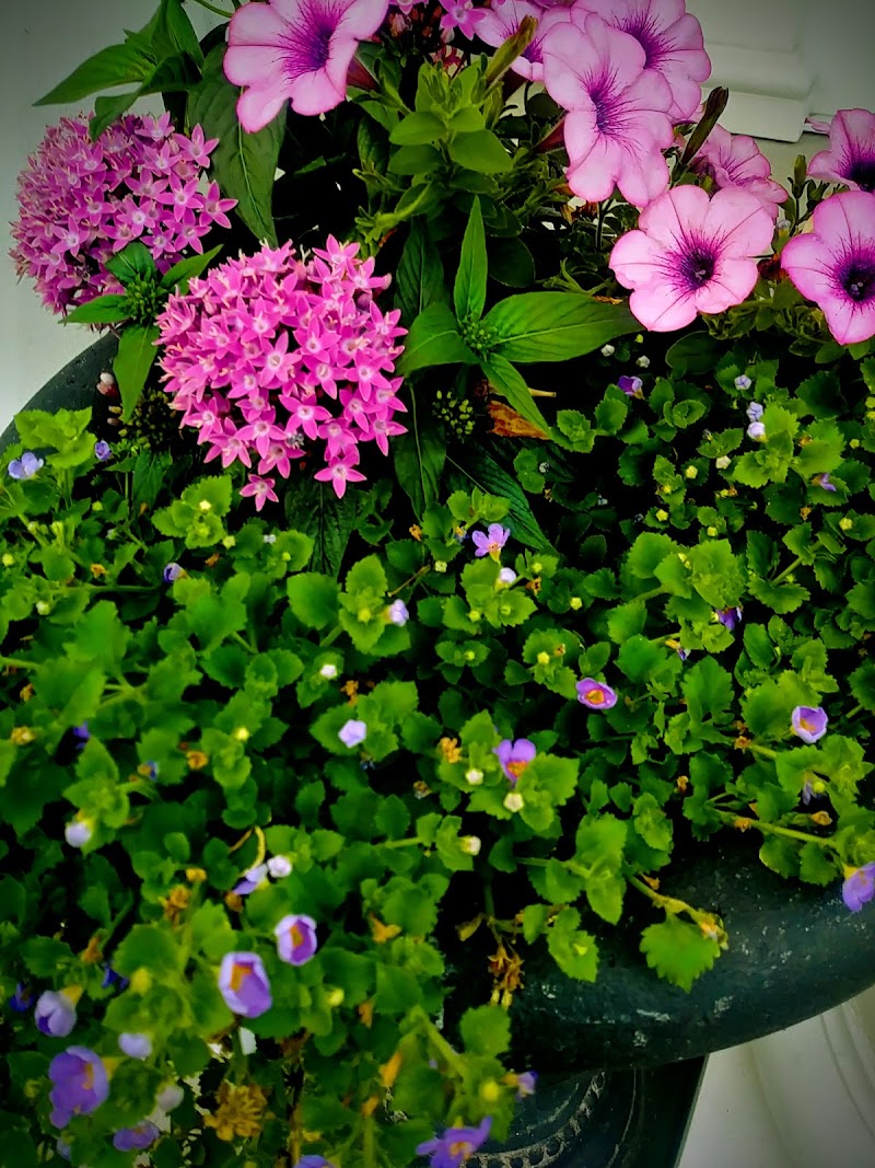 RAE-ANN WESTLAKE nursing home in WESTLAKE, OH - Photo 3 of 10